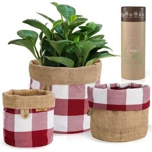 KIIZYS Woven Plant Basket Indoor Garden Planter Red Reversible 3 Pot Holder